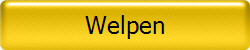 Welpen